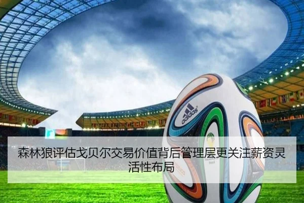 森林狼评估戈贝尔交易价值背后管理层更关注薪资灵活性布局（Boye Sports）